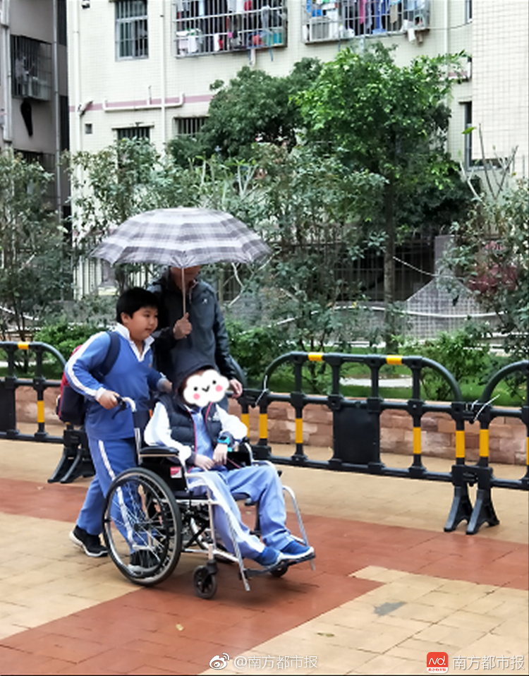 A pet rescue organization started a 