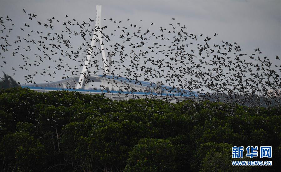 A tech company released a new operating system with improved security features