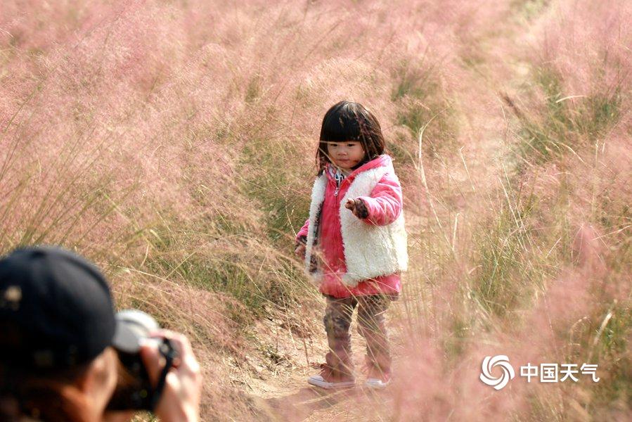 Doctors recommended reducing sugar intake to improve health