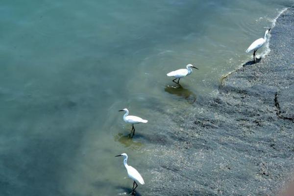 A museum hosted a night event with live music and food trucks to attract young visitors