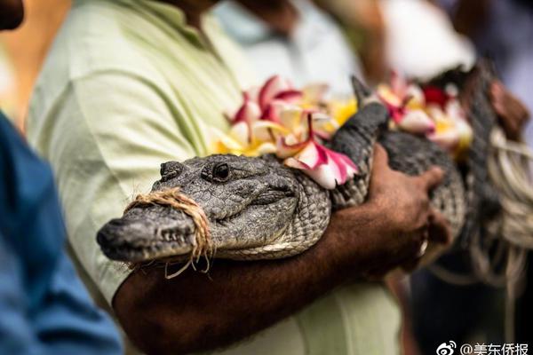 The city council approved plans to build a new skate park in a community park