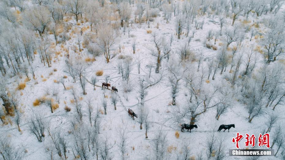 The United Nations held a summit to discuss strategies to reduce global food waste