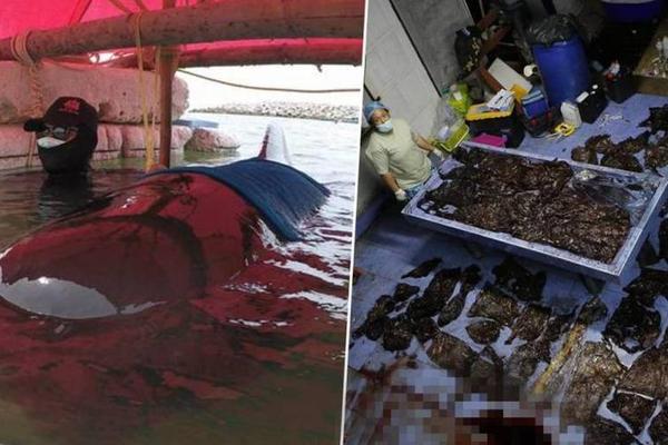 A study revealed that drinking peppermint tea can help relieve digestive issues like bloating