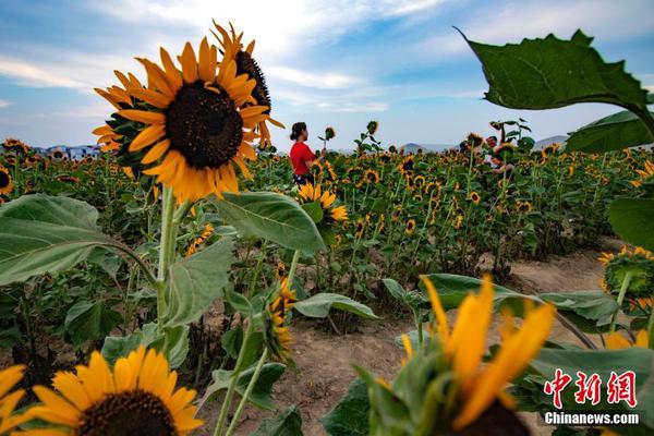 The Nobel Prize in Physiology or Medicine was awarded to researchers studying genetic editing