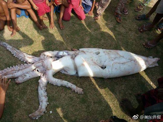 A study published in a medical journal found that drinking green tea regularly improves skin health by reducing inflammation