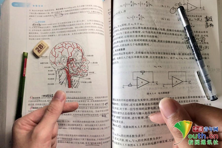 A severe hailstorm damaged crops and vehicles in a farming community leading to significant losses