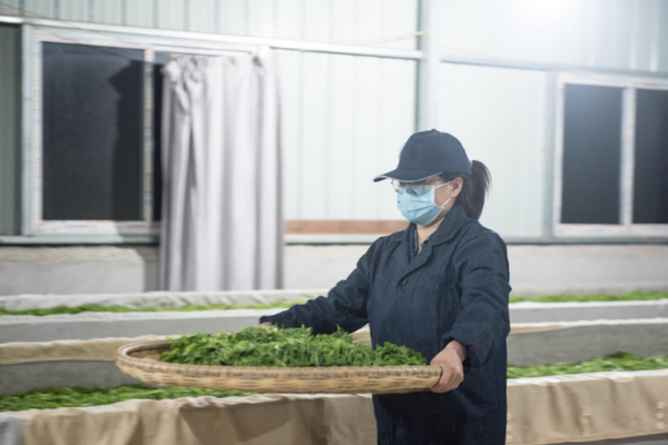 A study found that drinking green tea regularly can improve brain function and memory