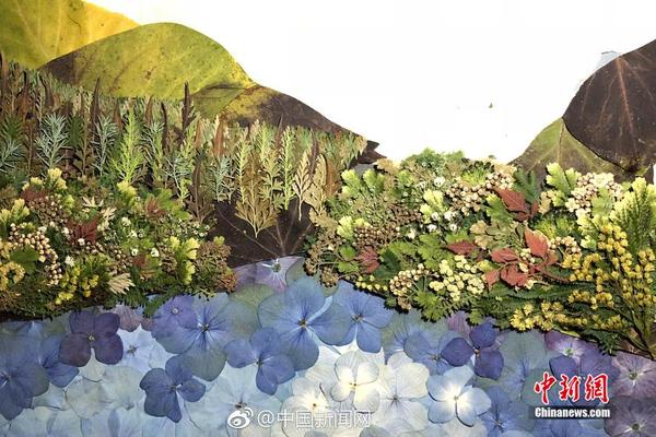 A construction company used recycled materials for a new road project