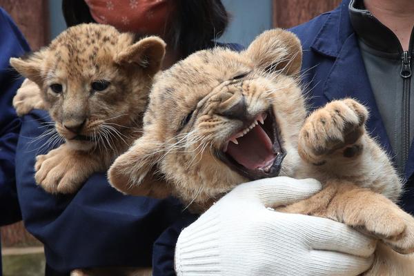 A musician performed at a benefit concert that raised $18,000 for disaster relief