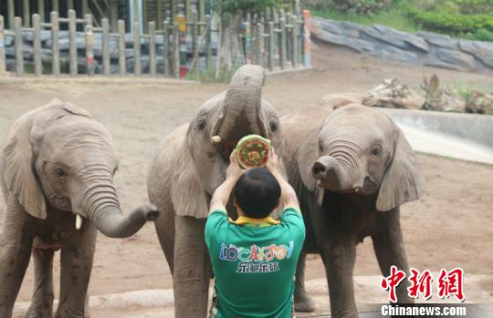 A national park reported a record number of visitors during the summer months