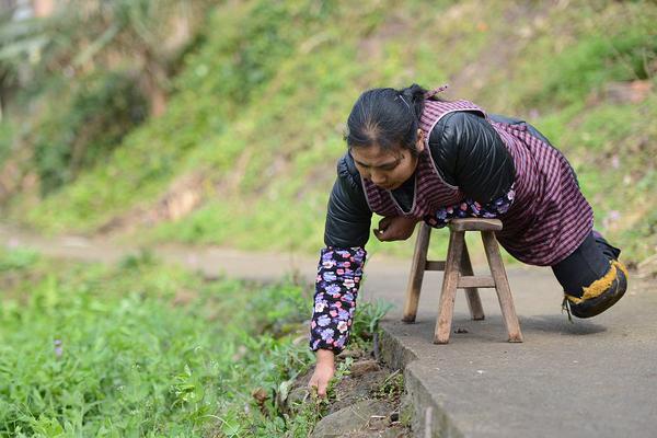 A software company released an update to its project management tool with new collaboration features