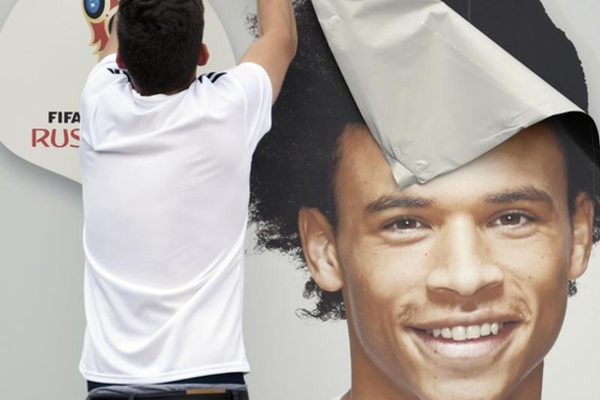 Animal rescue group transports injured wildlife to rehabilitation center