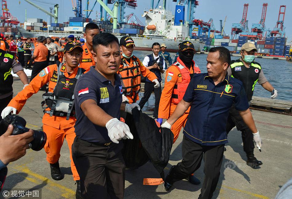 Scientists studied the impact of plastic waste on marine life