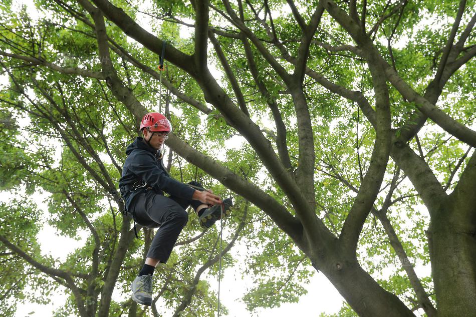 A celebrity chef published a cookbook with recipes for quick and healthy meals