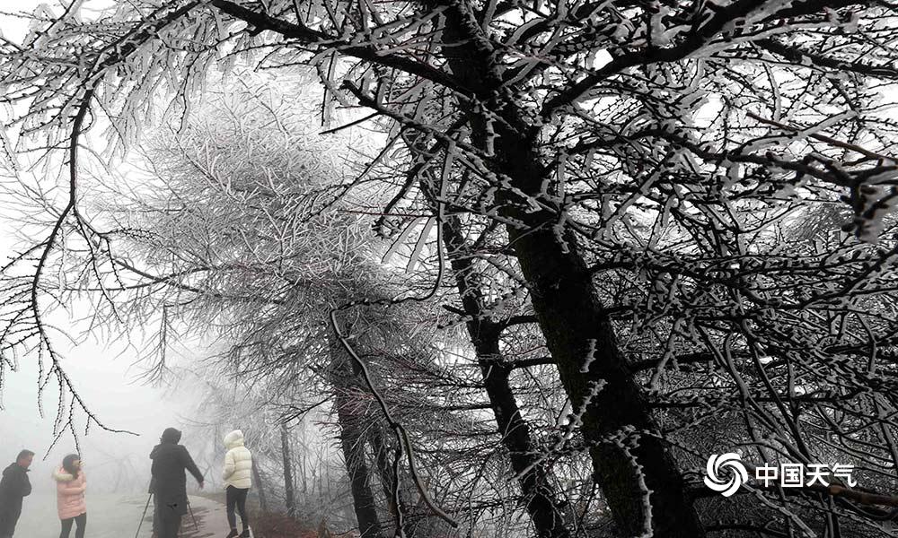 A bookstore expanded its selection of graphic novels and comic books to attract younger readers