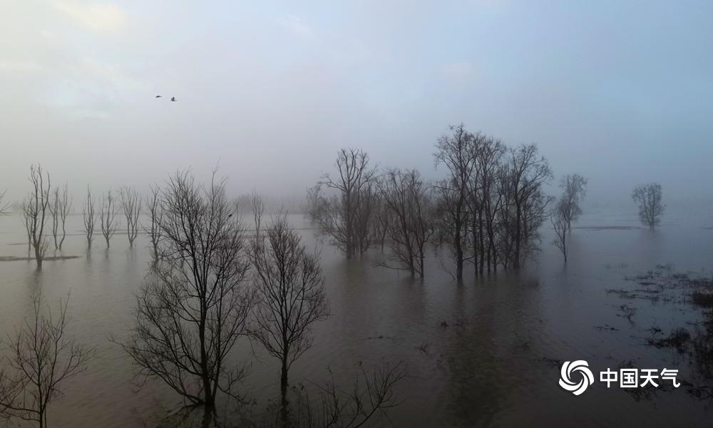 A museum displayed ancient Egyptian mummies and artifacts on loan from a museum in Cairo