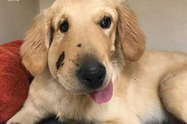 A community center offered free English classes to immigrants and refugees new to the area