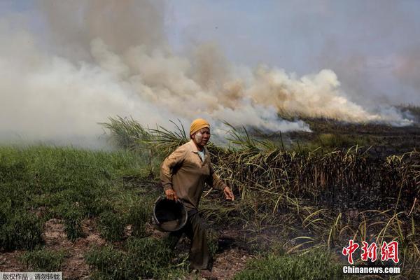 The postal service announced it would hire 5000 temporary workers to handle holiday mail