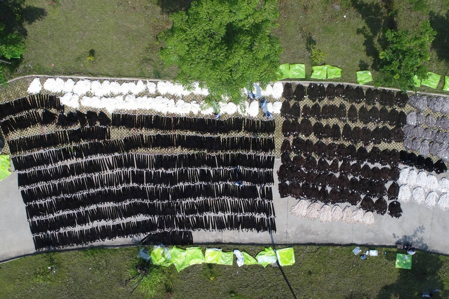 Automotive company recalls 75,000 sedans due to faulty airbag sensors