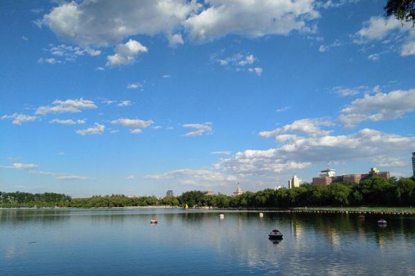 A pet rescue organization started a foster program to help animals find temporary homes