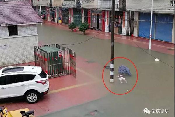 A university started a new graduate program in business administration