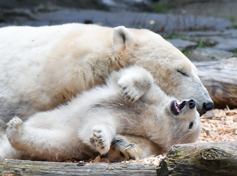 A large bookstore announced it will host monthly author readings and book signings