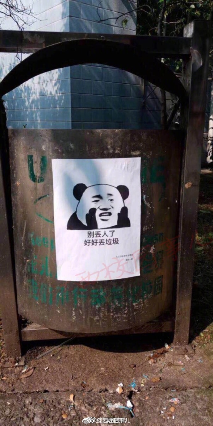 A famous actor announced they will star in a new film based on a best-selling novel scheduled to start filming next month