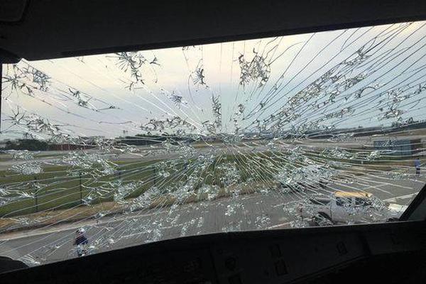 A research team studied the effects of air pollution on children’s lung development