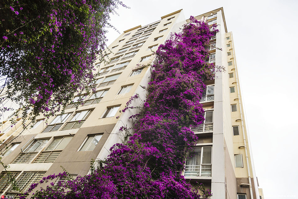 The local zoo welcomed a new baby panda born in the conservation program