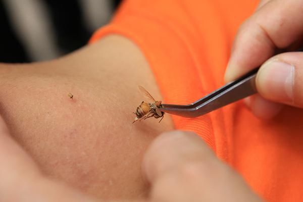 Research indicates that laughter therapy reduces pain in patients with chronic conditions