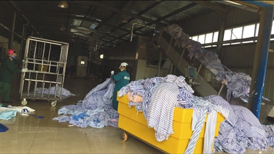 Bookstore hosts book reading event with best selling children’s author