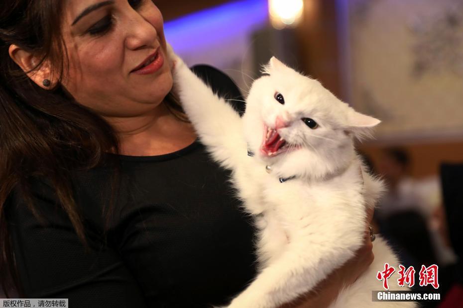 The government announced plans to build more rural clinics