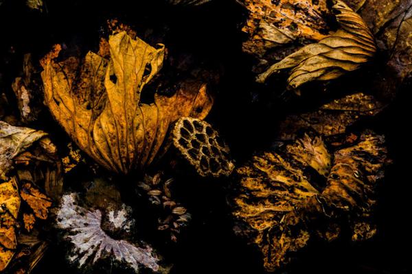 Doctors at a cancer center successfully treated a patient using a new immunotherapy drug