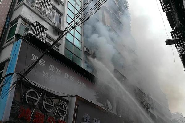 Scientists studied the impact of deforestation on wildlife habitats