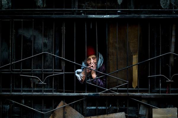 A school started a student-run garden where vegetables are grown and donated to local food banks