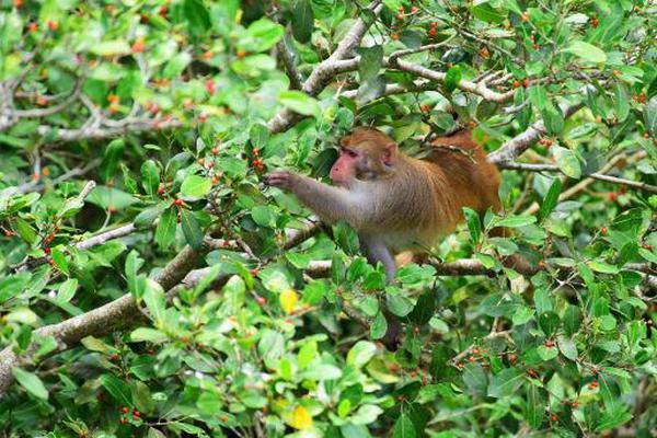 A local market was set up to support small-scale farmers