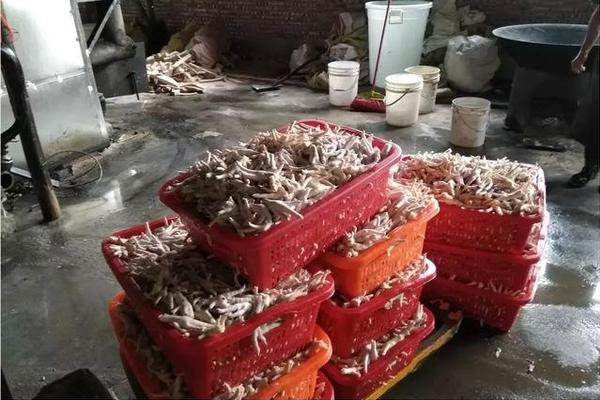 The country’s export of agricultural products set a new record this year