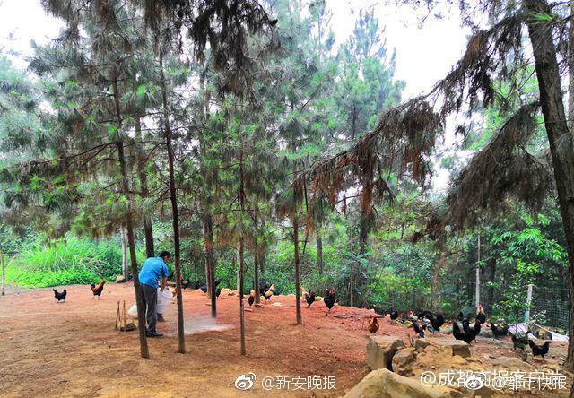 The stock market rebounded quickly after a short period of uncertainty due to global events