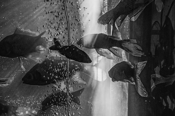 Fashion show raises money for charity with designs from local designers