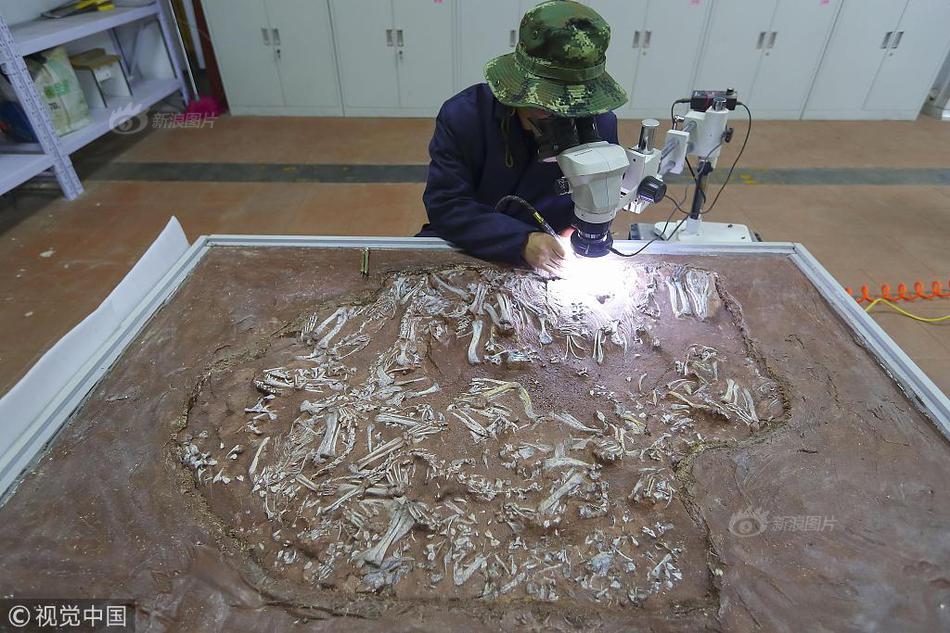 A team of marine biologists discovered a new coral reef