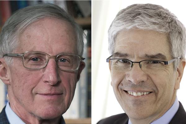 Scientists studied how light pollution affects bird migration