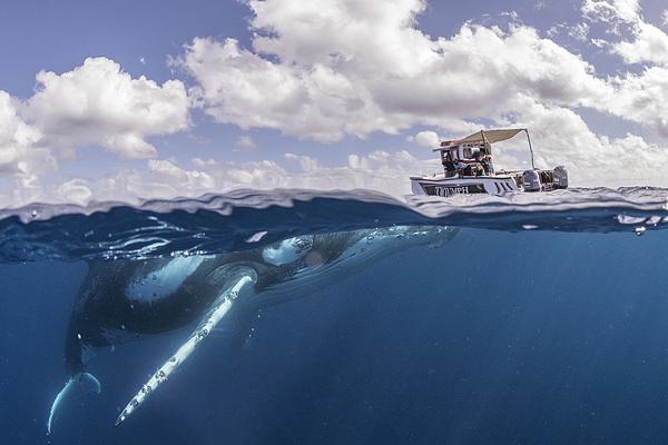 A heatwave in the southern states pushed temperatures to 108 degrees prompting heat advisories