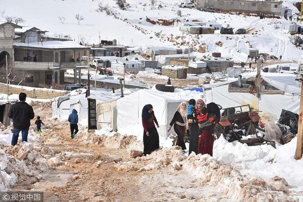 A study revealed that eating fish twice a week can improve brain health and memory