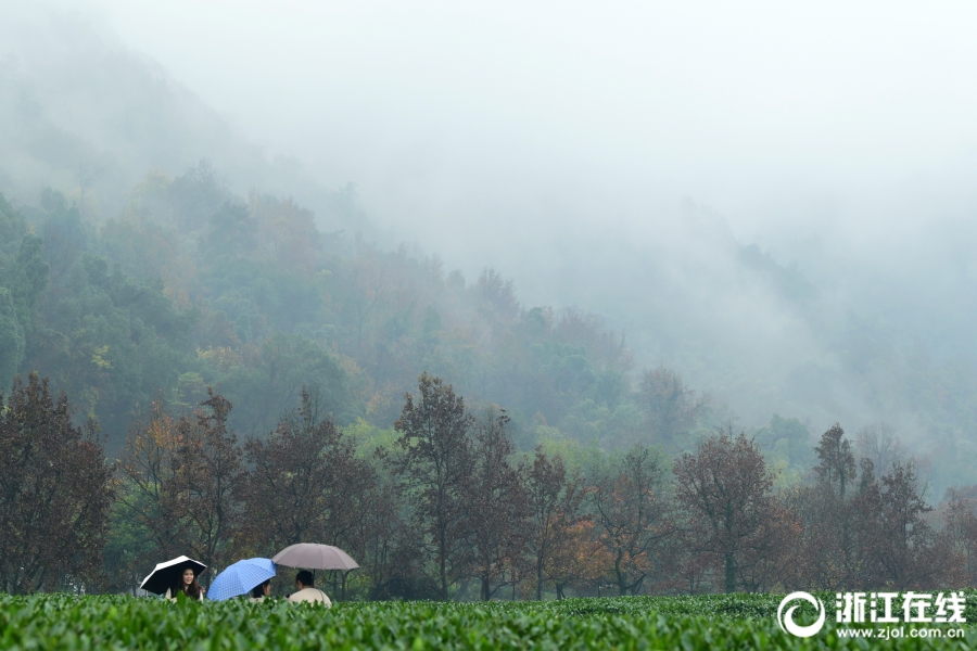 A community organized a park cleanup day that removed 300 bags of litter from a local green space