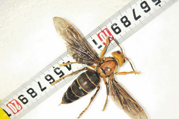 A grocery store started offering 