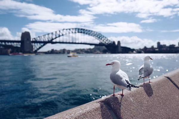 A national park started a program to protect native plant species