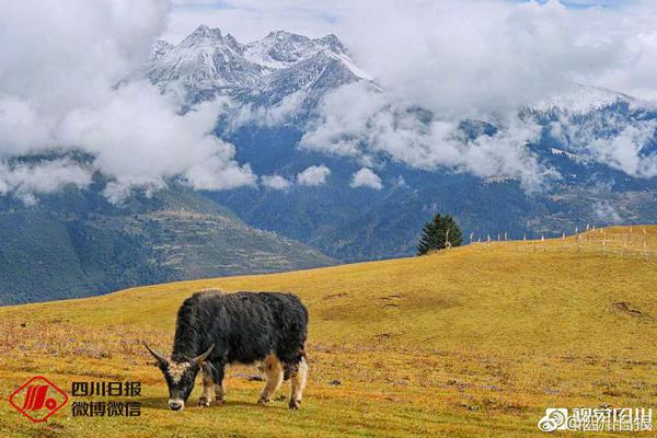 A new study revealed that air pollution from factories affects memory in older adults