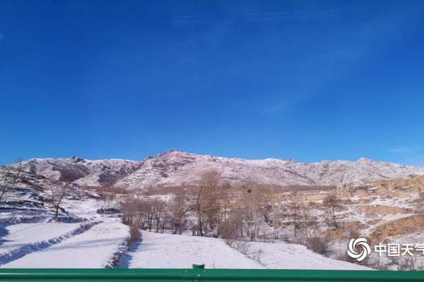 A tech company partnered with a university to develop new AI technologies for medical diagnostics