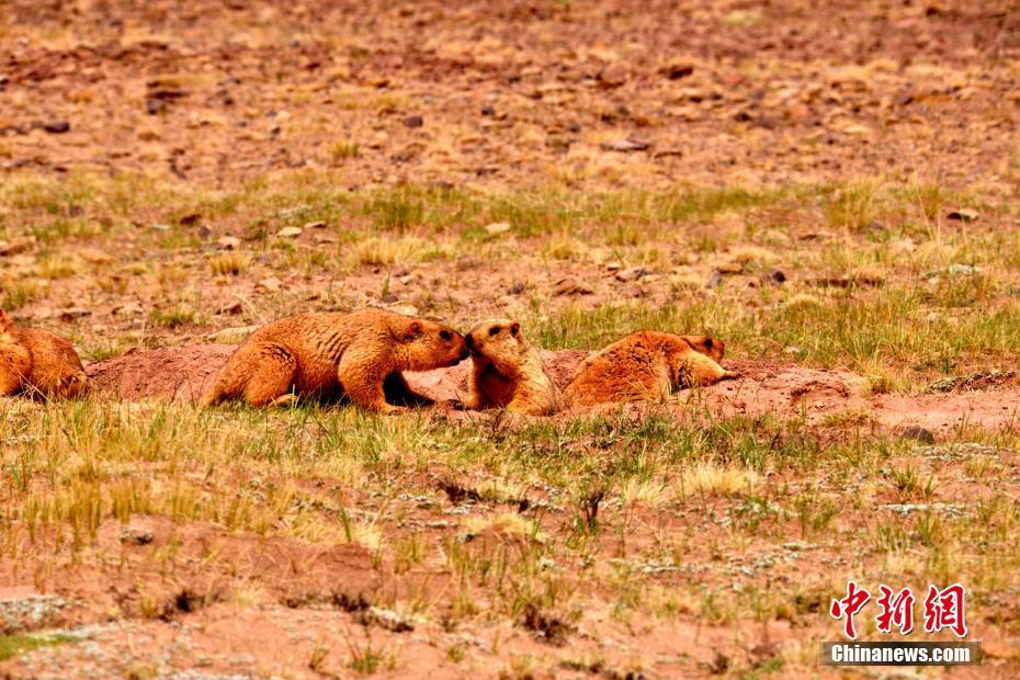 The school district changed the school start time to 8:30 AM to let students get more sleep