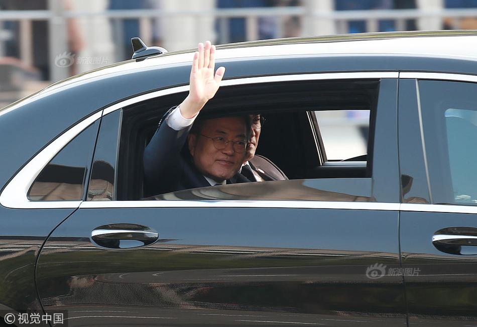 Animal rescue group transports injured wildlife to rehabilitation center